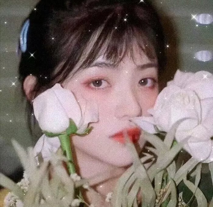 呆子2